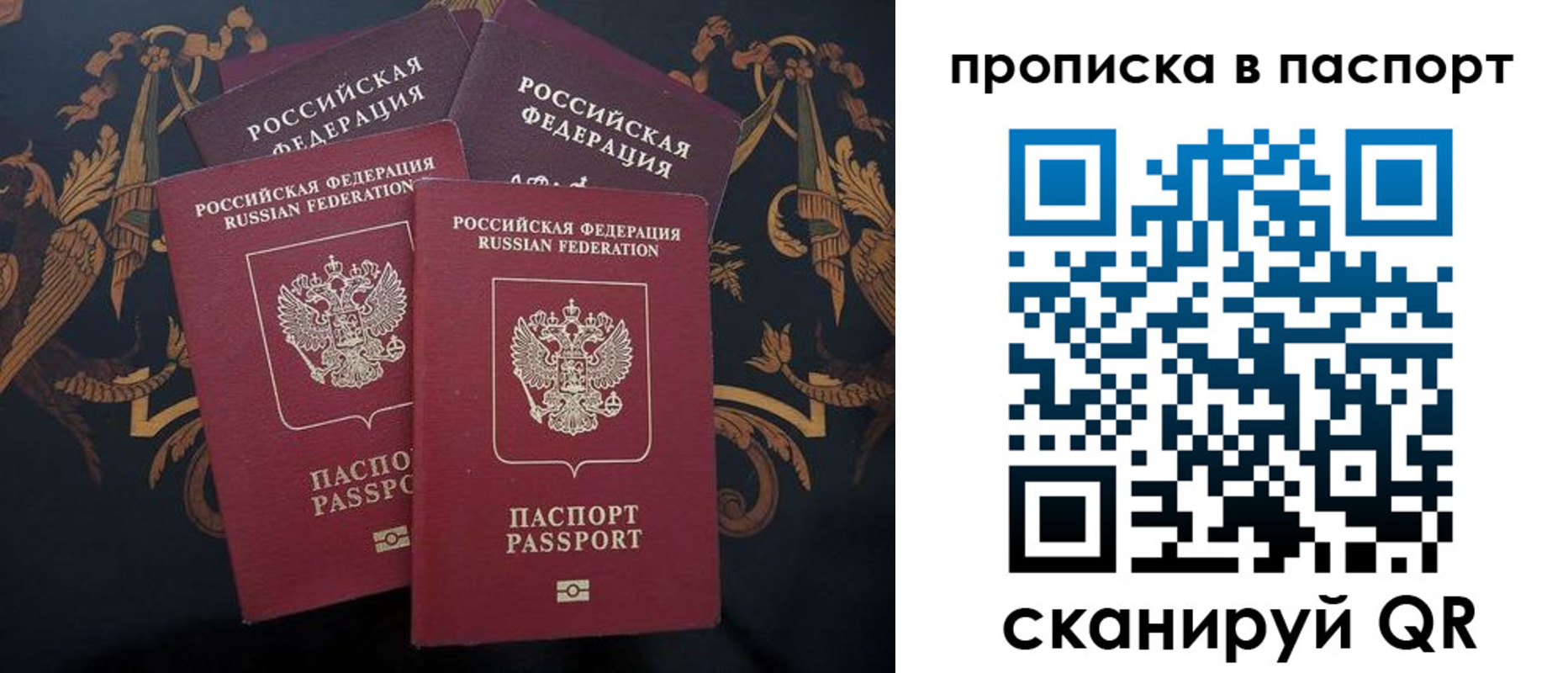 купить прописку в Сертолово